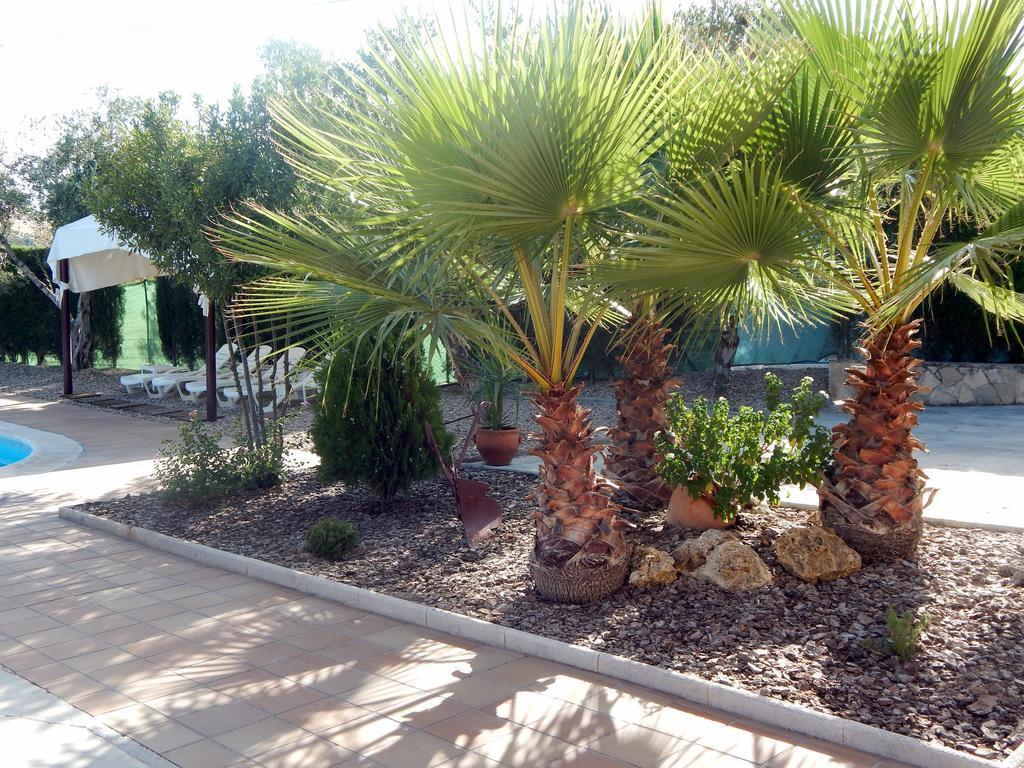 Villa María - Pista de Padel y Piscina Baena Exterior foto